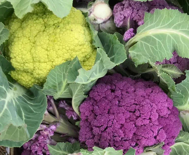 IMG_0735-76ad5493-1920w